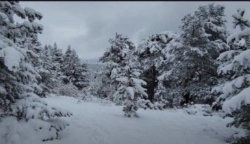 Meteoroloji'den 42 il için kar yağışı uyarısı