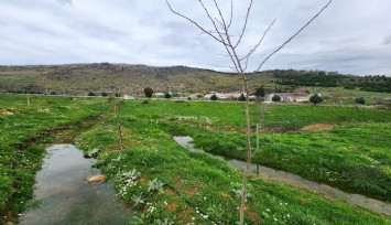 Karşıyaka Kent Ormanı’nda örnek uygulama
