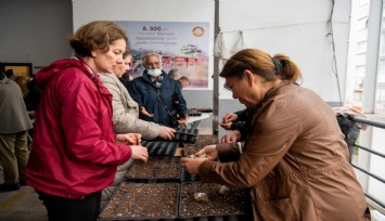 Bornovalılara tohum çimleme eğitimi