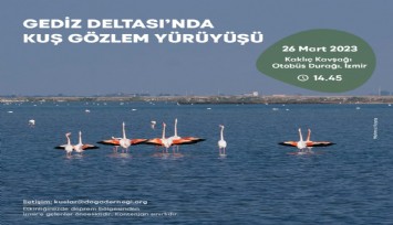 Gediz Deltası’nda kuş gözlem yürüyüşü