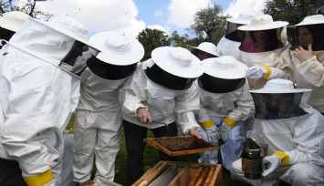 Bornova Belediyesi’nden uygulamalı arıcılık eğitimi