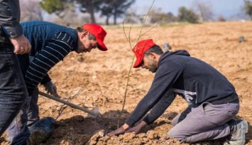 İzmir Tarımı Danışma Hattı kuraklıkla mücadele için çalışıyor