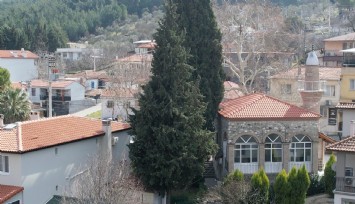 Asırlık camiye ve ormanlarına gözü gibi bakıyorlar