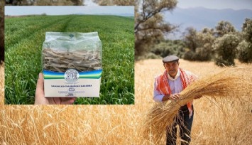 İzmirli karakılçık buğdayı Amerika ve Kanada yolunda