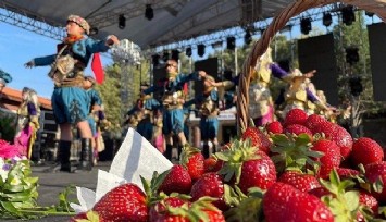 Çilek kokulu festivale muhteşem final