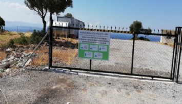 Karaburun'da 30 bin zeytinliğe vurgun