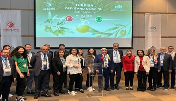 Zeytinyağı ihracatçıları Brezilya pazarında güçleniyor