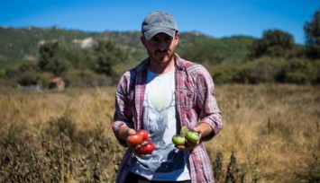 Karşıyaka’nın Yamanlar domatesi İzmir’in 17 ilçesine yayılıyor