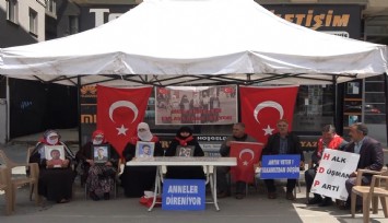 Evladı dağa kaçırılan anne: 'Demirtaş'ı cezaevinden çıkaracaklardı. Şimdi çıkarsınlar da görelim'