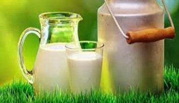 Gıda Mühendisleri’nden ‘Dünya Süt günü’ mesajı