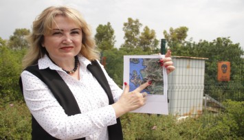 Depremde yıkım riski olan bölgeler tespit ediliyor