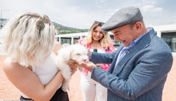 Pati dostları bu festivalde buluşacak