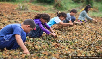 İzmir Barosu’ndan acil eylem planı çağrısı: Son on yılda 616 çocuk, iş cinayetlerinde yaşamını yitirdi