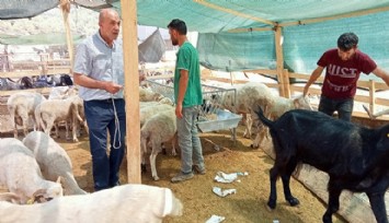 İzmir’de kurban kesim yerleri belli oldu