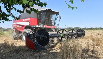 Çiğli Belediyesi’nden Örnek Tarım Uygulaması: İlk Defa Belediye Arazisinde Buğday Hasadına Başlandı