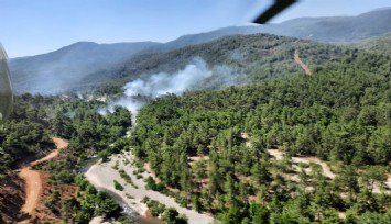 Köyceğiz’de orman yangını