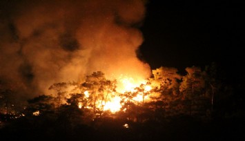 Antalya’da orman yangını