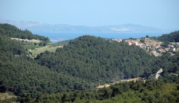 Urla’da Yağcılar Mahallesi Değirmentepe bölgesi arkeolojik sit ilan edildi