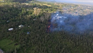 Hawaii'de devam eden orman yangınlarında ölenlerin sayısı 89'a çıktı