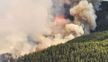Alanya'daki orman yangını kontrol altında