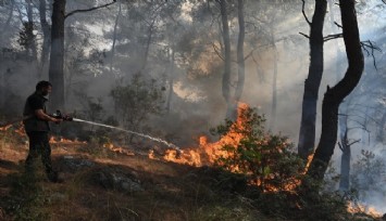 3 ateş savaşçısı can vermişti… 260 hektar küle döndü!