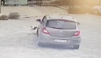 Muğla'da köpeğin üzerinden geçen sürücü serbest bırakıldı