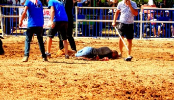 Rakibine yenilen boğa, öfkesini sahibinden çıkardı