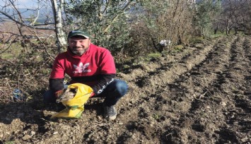 Tarlasında bulduğu yaralı kartala sahip çıktı