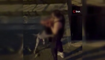 Bahçelievler’de pitbull cinsi köpek sahibine saldırdı: Dehşet anları kamerada