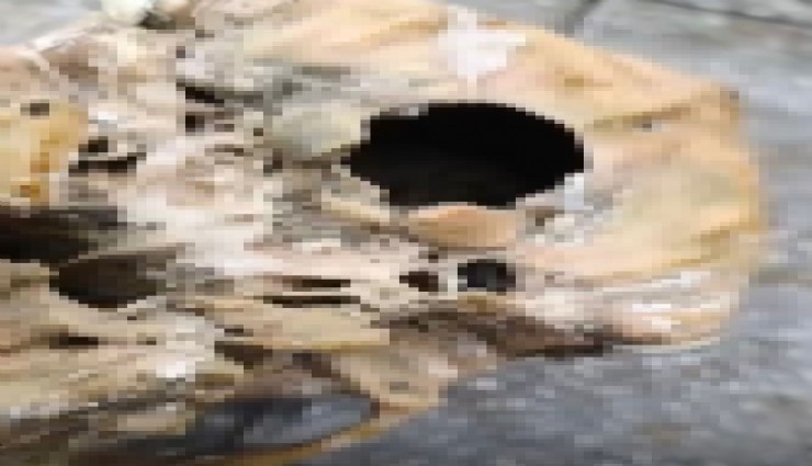 Balık tutarken dehşeti yaşadı: Oltaya insan kafatası takıldı