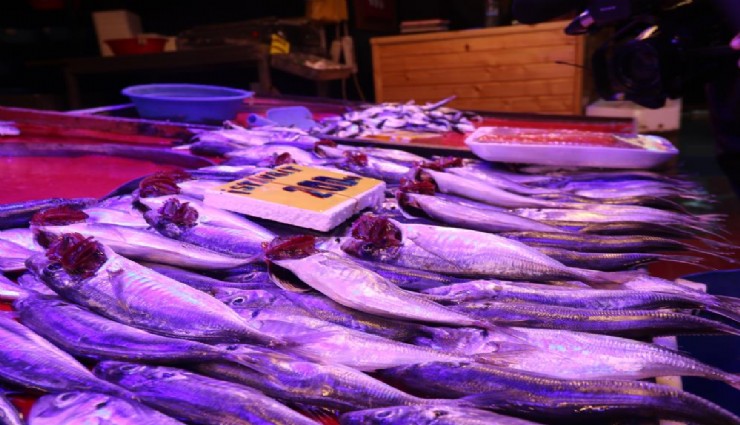 Bozuk balığı iade etmek isteyen müşteriyi çipurayla dövdüler