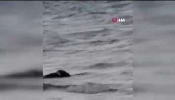 Gelibolu açıklarında batan teknede ölü sayısı 3'e çıktı