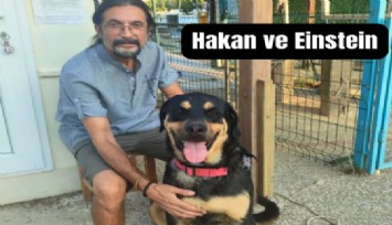 İzmir'de bir dostluk hikayesi: Otobüse binen köpek, bir kere gördüğü dostuna 1 yıl sonra kavuştu