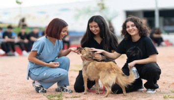 İzmirli öğrencilerden anlamlı mesaj: Hayvanlara şiddet son bulsun