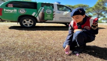 Jandarmadan endemik bitki nöbeti: Bu çiçeği koparana 557 bin TL ceza