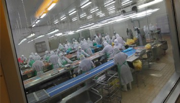 Japonya'da kuş gribi alarmı: Yaklaşık 460 bin tavuk itlaf edilecek