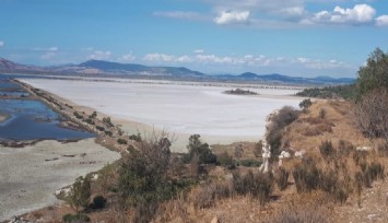 Kuş profesöründen son uyarı: Kuş Cenneti’nde 5 bin yuva yok oldu, tedbir alınmazsa hiç kalmayacak
