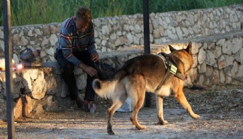 Kuyuya düşen adamın hayatını köpeği kurtardı