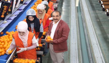 Mandalinada ihracat hedefi 500 milyon dolar, satsuma mandalinada 125 milyon dolar