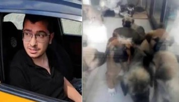 Sahiplendiği köpeklere cinsel istismarda bulunup öldürdüğü iddiasıyla 9 yıl 9 ay ceza aldı