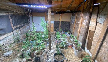 Zahir tacirlerinin kurduğu sistemi jandarma bozdu