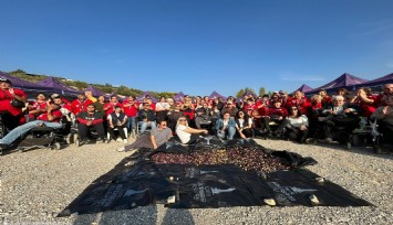 Engelli yurttaşlar ve yakınları zeytin hasadında buluştu