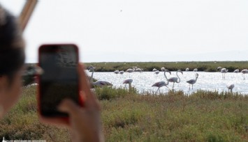 İzmir’de doğa ve lezzet turları başladı