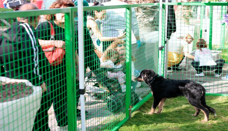 Konak’ta kalpler patili dostlar için attı