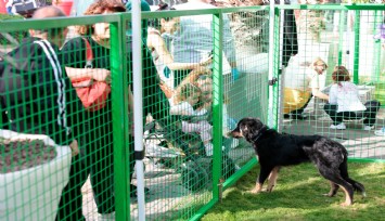 Konak’ta kalpler patili dostlar için attı