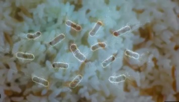 Masum görünen pirinçteki büyük tehlike: Tabip Odası uyardı