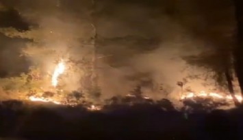 Muğla'da çıkan orman yangını kısa sürede kontrol altına alındı