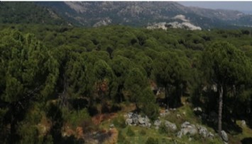 UNESCO’ya rezil olduk: İzmir’de Küresel Jeopark Alanı için başvurulan bölgeye maden sahası izni