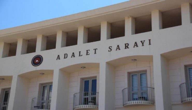 Yavru köpekleri tüfekle vuran şahıs tutuklandı