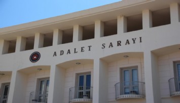 Yavru köpekleri tüfekle vuran şahıs tutuklandı